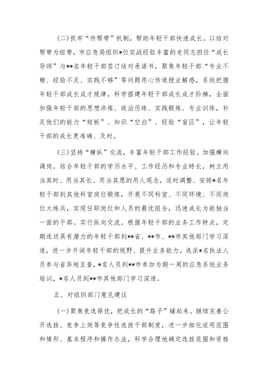 市应急管理局轻干部专题调研活动情况总结.docx_第3页