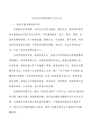 打造夜间消费集聚区行动计划.docx