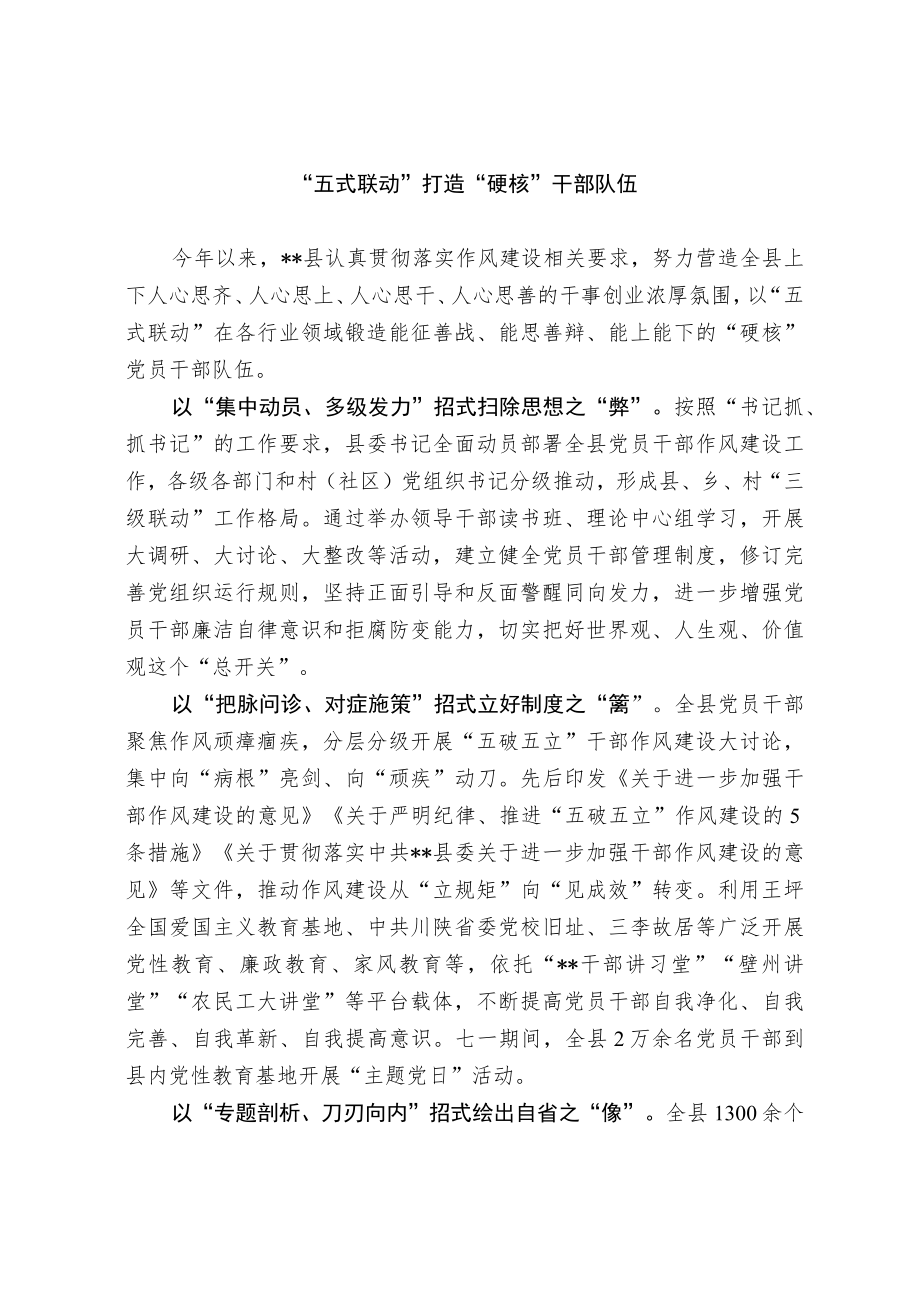 干部队伍建设经验交流材料(1).docx_第1页