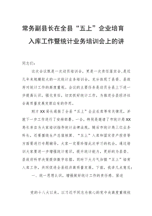 常务副县长在全县“五上”企业培育入库工作暨统计业务培训会上的讲话.docx