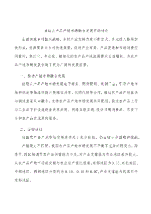 推动农产品产销市场融合发展行动计划.docx