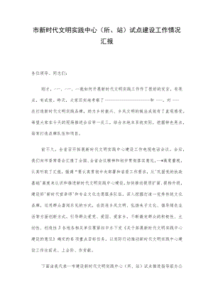 市新时代文明实践中心（所、站）试点建设工作情况汇报.docx