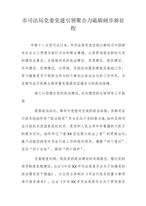 市司法局党委党建引领聚合力 砥砺阔步新征程.docx