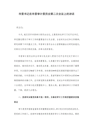 市委书记在市委审计委员会第二次会议上的讲话.docx