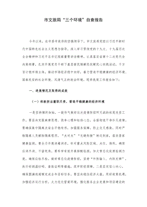 市文旅局“三个环境”自查报告.docx
