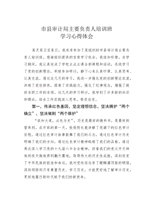 市县审计局主要负责人培训班学习心得体会.docx