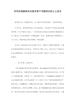 市司法局副局长在普法骨干专题培训班上上发言.docx
