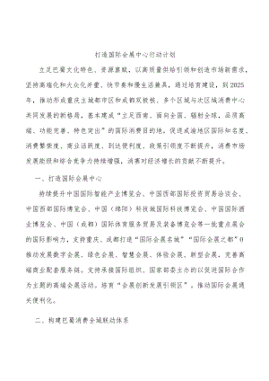 打造国际会展中心行动计划.docx