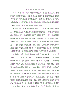 建强党在各领域战斗堡垒.docx