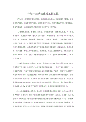 轻干部队伍建设工作汇报.docx