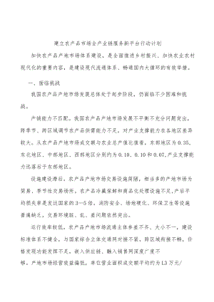 建立农产品市场全产业链服务新平台行动计划.docx