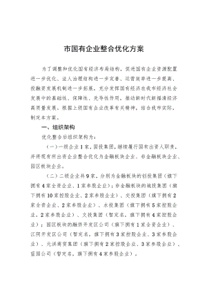 市国有企业整合优化方案.docx
