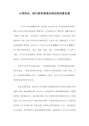 心得体会：践行新发展理念 推动高质量发展.docx