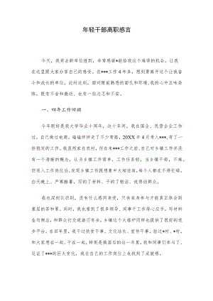 轻干部离职感言.docx
