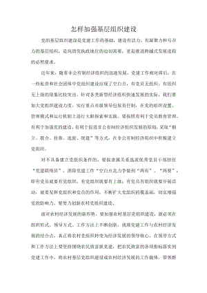 怎样加强基层组织建设.docx