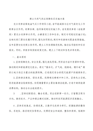建立天然气供应保障体系实施方案.docx
