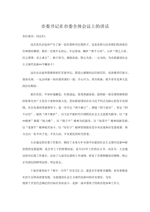 市委书记在市委全体会议上的讲话.docx