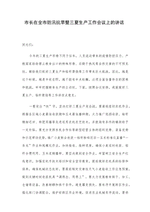 市长在全市防汛抗旱暨三夏生产工作会议上的讲话.docx