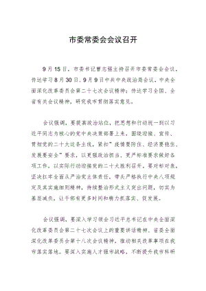 市委常委会会议召开.docx