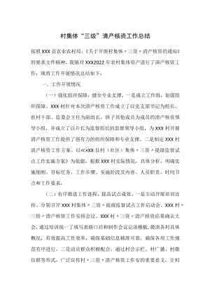 村集体三级清产核资工作总结.docx