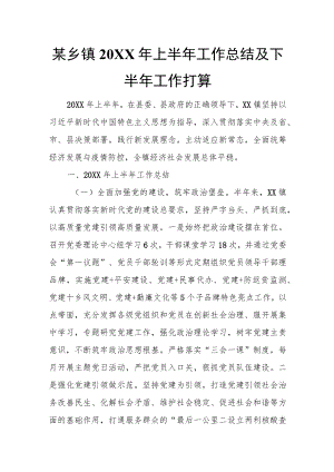 某乡镇2022年上半年工作总结及下半年工作打算.docx