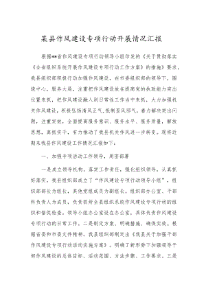 某县作风建设专项行动开展情况汇报.docx