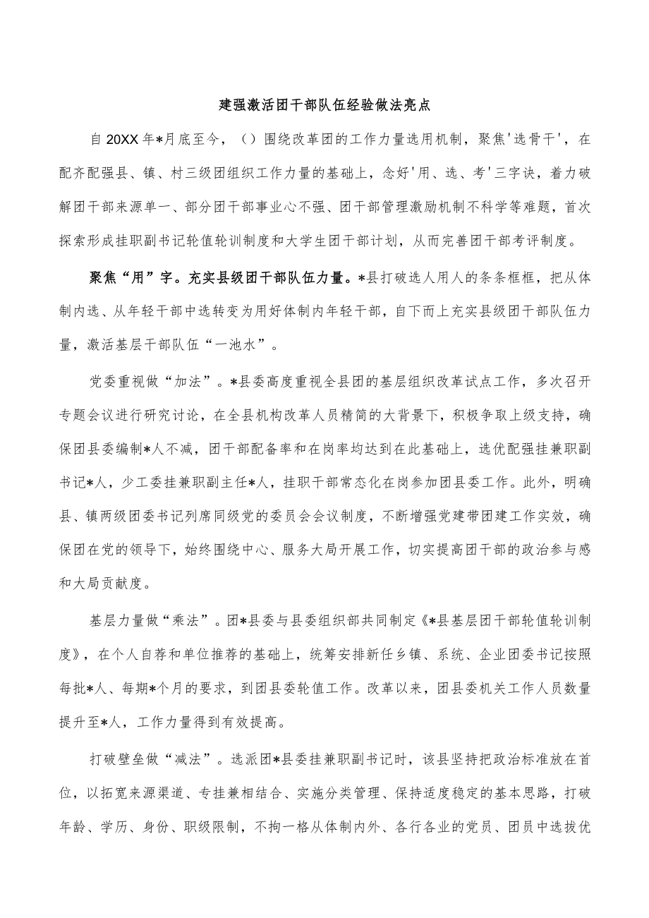 建强激活团干部队伍经验做法亮点.docx_第1页