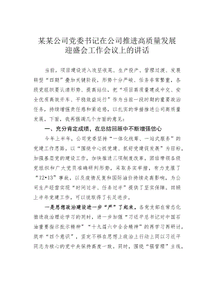 某某公司党委书记在公司推进高质量发展迎盛会工作会议上的讲话.docx