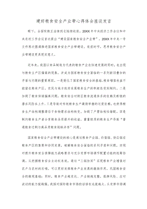 建好粮食安全产业带心得体会座谈发言.docx