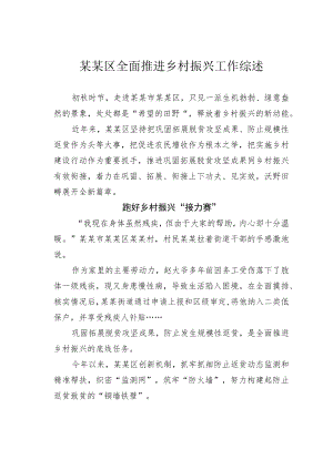 某某区全面推进乡村振兴工作综述.docx