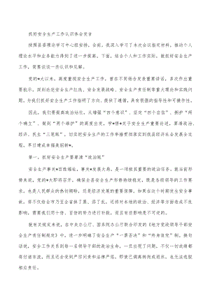抓好安全生产工作认识体会发言.docx