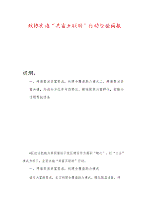 政协实施“共富五联助”行动经验简报.docx
