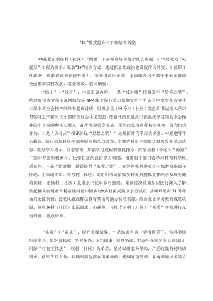 村干部培训工作经验交流材料.docx