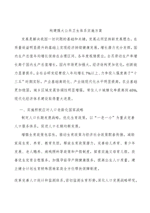 构建强大公共卫生体系实施方案(1).docx