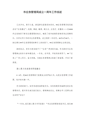 市应急管理局成立一周年工作综述.docx
