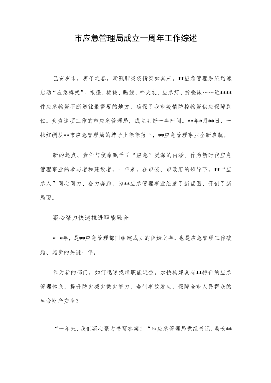 市应急管理局成立一周年工作综述.docx_第1页