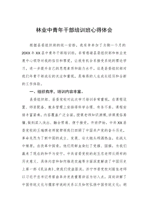 林业中青年干部培训班心得体会.docx