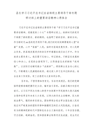 某县长学习在省部级主要领导干部专题研讨班上的重要讲话精神心得体会.docx