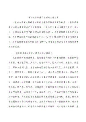 推动诚信计量示范创建实施方案.docx