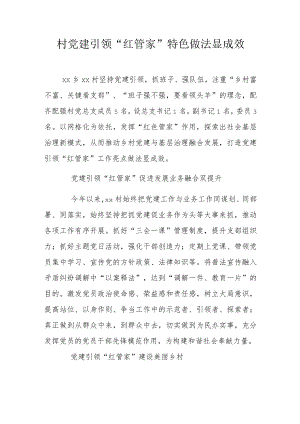 村党建引领“红管家”特色做法显成效.docx