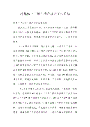 村集体“三级”清产核资工作总结.docx