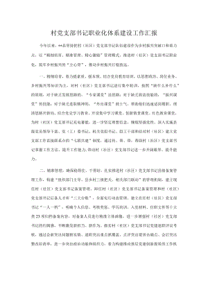 村党支部书记职业化体系建设工作汇报.docx