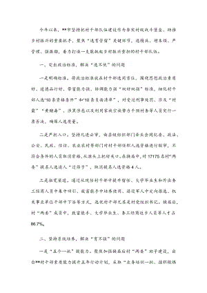 村干部队伍建设交流发言材料.docx