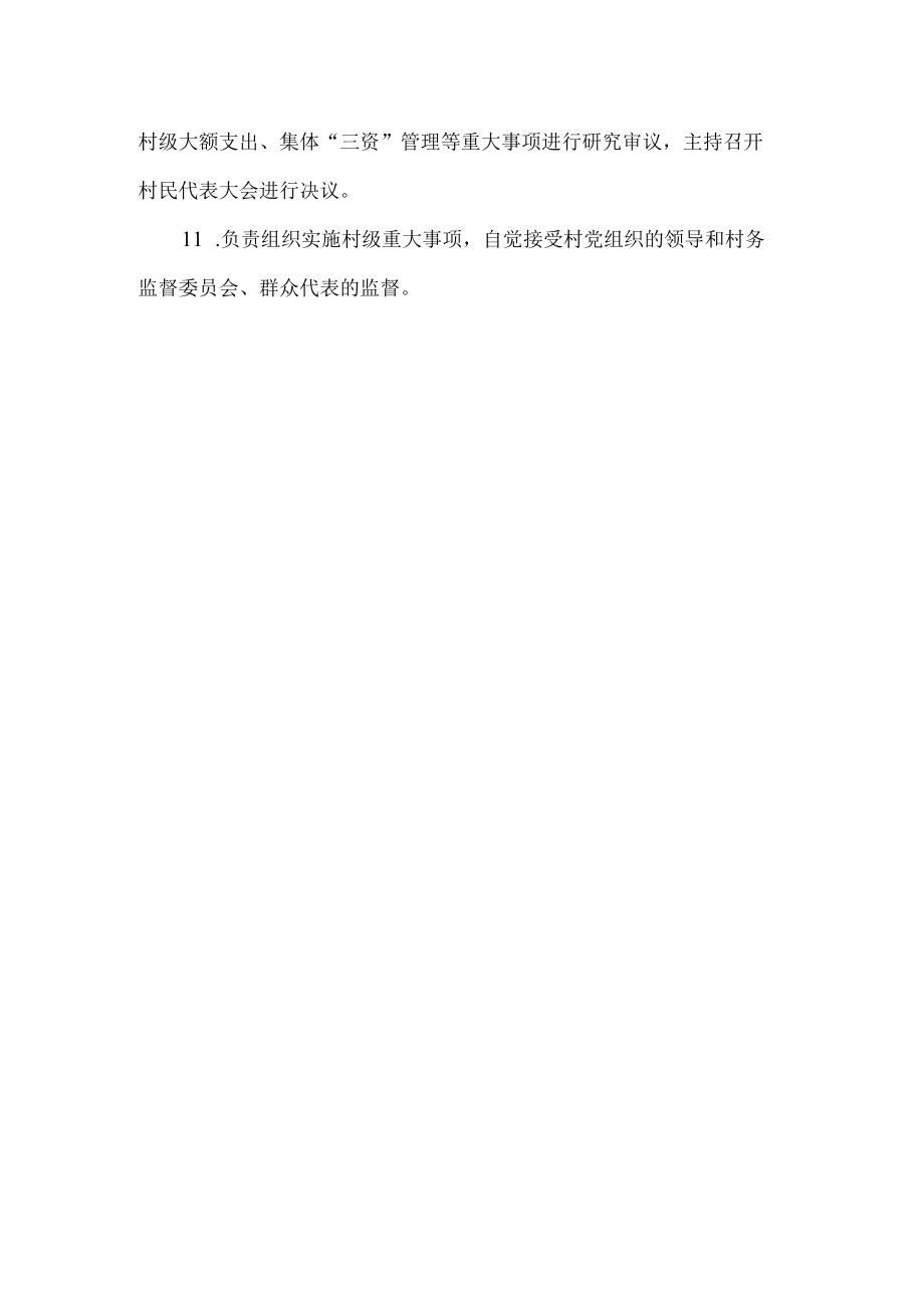 村民委员会主任责任清单.docx_第2页