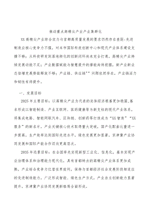 推动重点高精尖产业产业集群化.docx