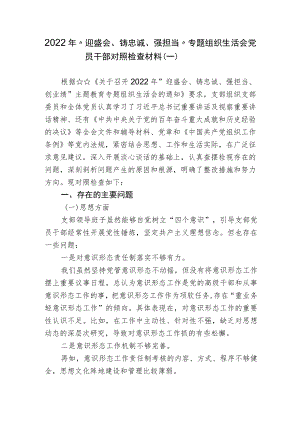 支部班子2022“迎盛会、铸忠诚、强担当”专题组织生活会班子对照检查材料.docx