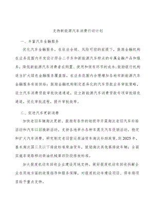 支持新能源汽车消费行动计划.docx