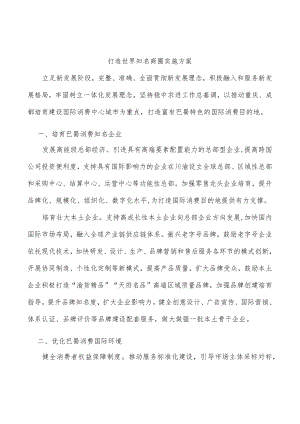 打造世界知名商圈实施方案.docx