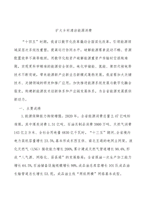 扩大乡村清洁能源消费.docx