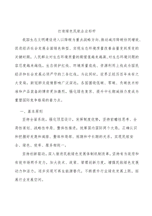 打造绿色民航企业标杆.docx